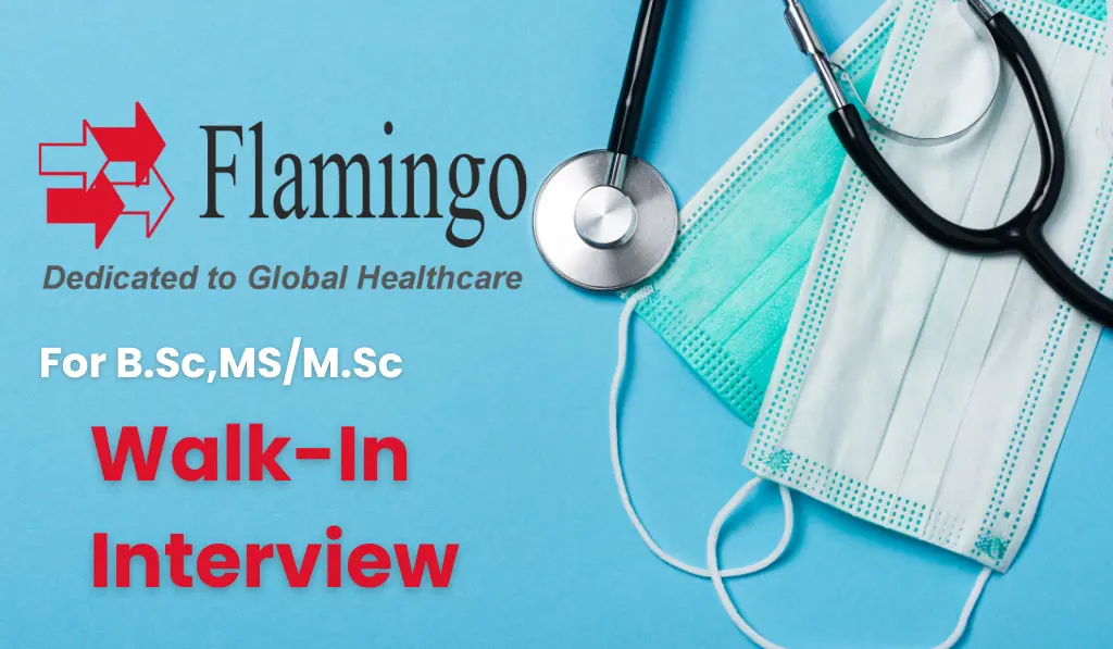 Flamingo Walk In Interview