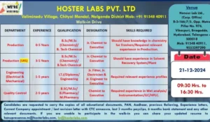 Hoster Labs Hiring