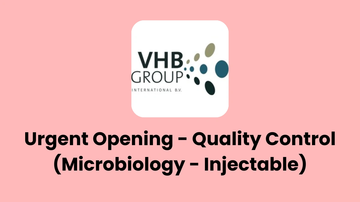 VHB group Hiring