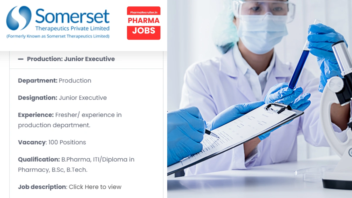 Somerset Limited – Hiring Freshers for Junior Executives for Production