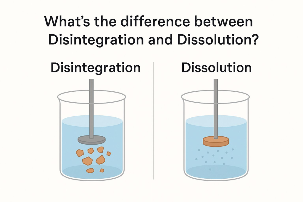 Disintegration vs. Dissolution: Key Differences in Pharmaceutical Testing for Drug Development