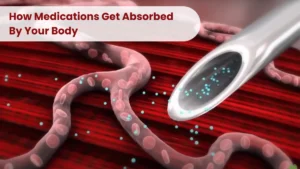 How Medications Get Absorbed By Your Body