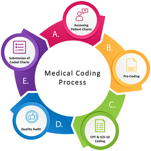 Best Course Medical Coding Process