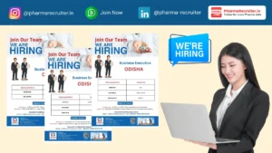 Lincoln Hiring for Business Executive